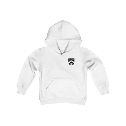 Fierce Futbol Lions Pitch Invaders Youth Hoodie (Unisex)