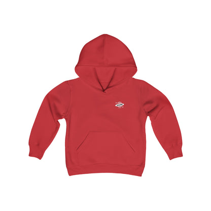DC Eleven Classic Pitch Invaders Youth Hoodie (Unisex)