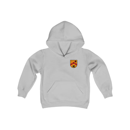 Fierce Futbol Lions Pitch Invaders Youth Hoodie (Unisex)